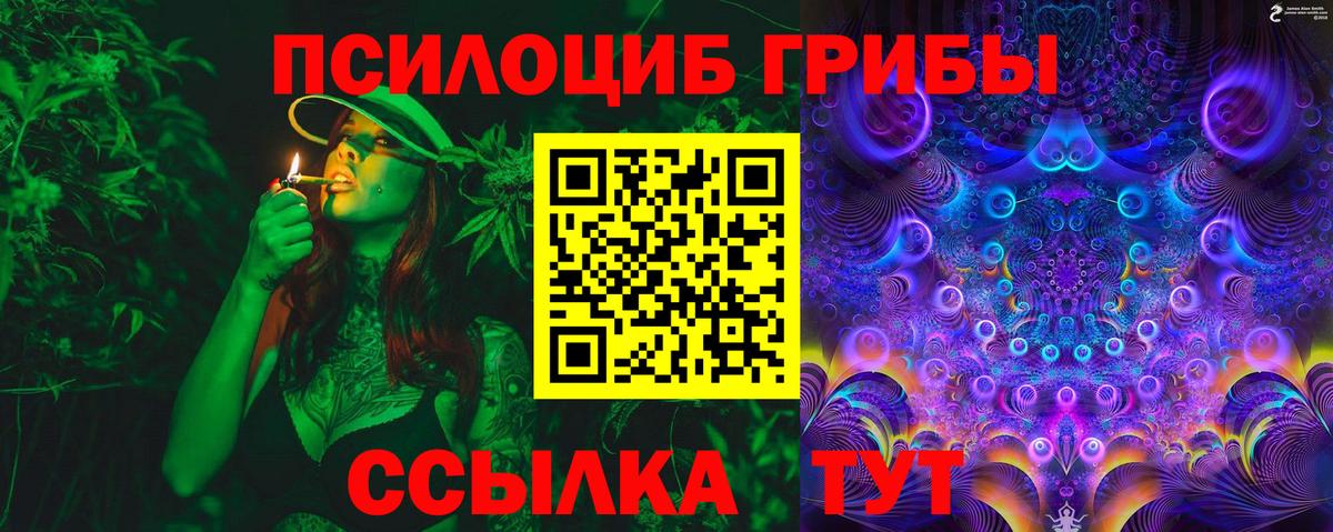 Псилоцибиновые грибы Psilocybe  Галлюциногенные грибы Psilocybe  Вход с VPN  Лыткарино 